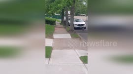 US: Officers Rescue Ducklings Trapped In Sewer Reuniting Them With Their Mother