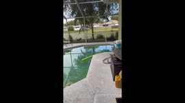 Excited Pup Zooms Into Screen Door