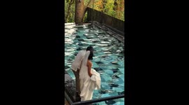 Newlyweds and guests leap into swimming pool fully-clothed