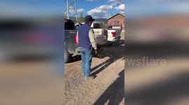 Injured owl release after recovery at wildlife centre in Colorado