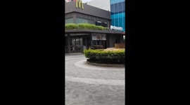 Escaped cow wanders into McDonald's drive-thru