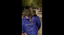 Man Casually Carries Giant Scandinavian Cat on His Shoulders Like It's Totally Normal- Passersby Stunned!