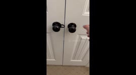 Kittens Climb Over Baby Gate