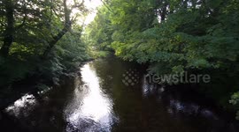 Devon Countryside, Wild River Avon Near Diptford