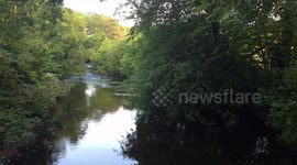 Diptford wild river Avon and the sound of the River and birds Singing.  a natural wonder and beautiful walk along the river Avon in Devon