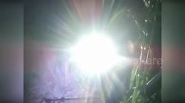 Italy: Firefighters Rescue Dog Trapped In 20 Meter Deep Ravine In Fermo