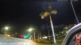 US: Kitten Dashes Into Traffic Stop And Steals The Show In Bonita Springs