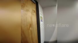 US: YouTuber Turns Himself In After Fatal Las Vegas Strip Double Homicide