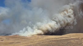 US, Bakersfield: Bakersfield Dogs Fire Part 1
