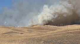 US, Bakersfield: Bakersfield Dogs Fire Part 2