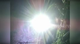 Firemen rescue dog trapped in 70ft steep ravine in Italy
