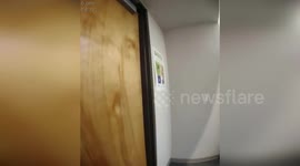 Las Vegas double shooter seen being arrested on police bodycam footage