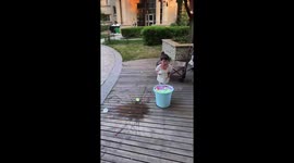 Toddler's water balloon toss keeps bouncing back in Liaoning, China