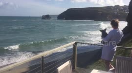 Nice footage of a large seal sunbathing, filmed from a balcony in sunny Cornwall