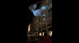 London festival of light 2016 fish