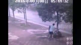 Man caught cutting a tree down to steal a bike