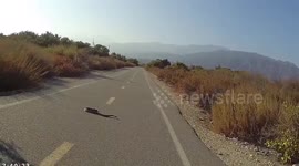 Large snake crosses cyclist's path
