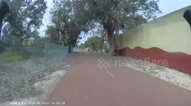 Dog gets a fright when he notices a cyclist coming his way
