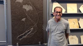 Philadelphia Jeweler Talks About His Fight To Save His Shop & Home