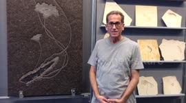 Philadelphia Jeweler Talks About His Fight To Save His Shop & Home From Demolition