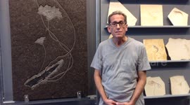 Philadelphia Jeweler Talks About His Fight To Save His Shop & Home From Demolition
