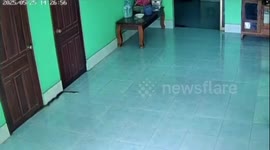 Cobra surprises young girl inside home in Vientiane, Laos