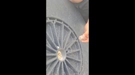 Man stung on lips while sucking honey from beehive in Lake Charles, United States