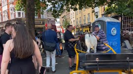 Dozens of horse and cart with Irish travellers congregate outside Cambridge Circus Harry Potter Palace Theatre