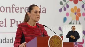 Mexico: Mexican president slams use of national flag in US protests as provocation