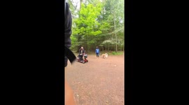 Electric Bike Trail Side Recovery