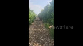 Israel: Intercepted Iranian Missile Lands in Jordan Valley Orchard