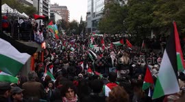 Chile: Pro-Palestinian activists rally in Santiago for Gaza solidarity