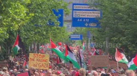 Pro-Palestine demonstration in the Hague, the Netherlands demanding sanctions to Israel