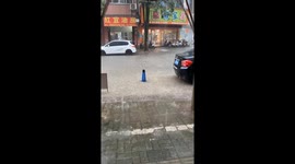 Sad Dog Left in the Rain