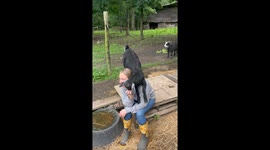 Playful Goat Turns My Back Into a Playground