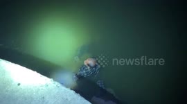 'Dead' pensioner, 70, seen floating in canal shocks locals when he wakes up