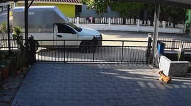 Deliveryman has wholesome interaction with family's pet dog
