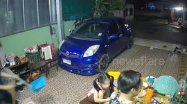 Tokay gecko sparks panic when it appears on family's picnic table
