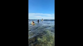 Beginner surfer crashes into woman as he tries to ride wave