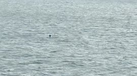 China: 10-year-old rescued after drifting for five hours during typhoon off China's Hainan