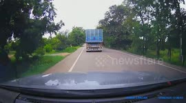Branches smashes into car after truck crashes into tree