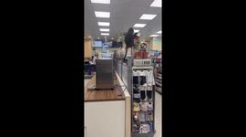 Monkey steals food as it rampages through supermarket