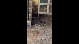 Family chases intrusive snake in nerve-wracking garage encounter