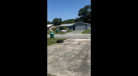 Horse Trots Down Neighborhood Street