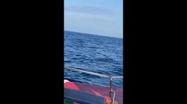 Parasailing nightmare unfolds as boat fails and rider slowly plunges into sea