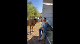 It Was Love at First Bite