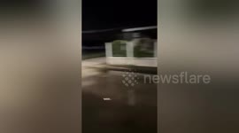 British man questioned over pit bull attack on neighbour's dog