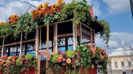 Flower festival in St Petersburg marks Russian national day