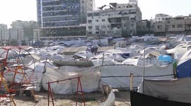 Gaza death toll hits 55,432; Israeli gunfire kills 20 at aid site on Monday