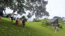 Girl laughs so hard playing on tree swing she wets herself